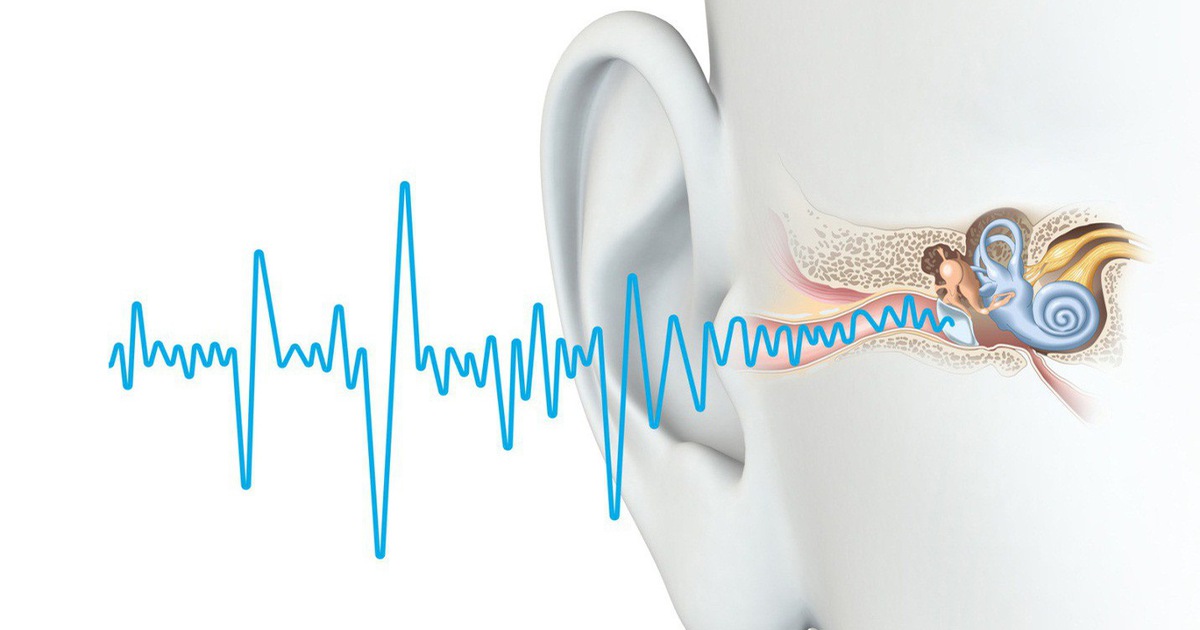 �ൺ������