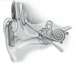 �ൺ������